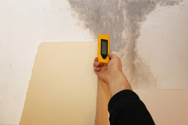 Best Asbestos and Lead Testing During Mold Inspection  in North Caldwell, NJ