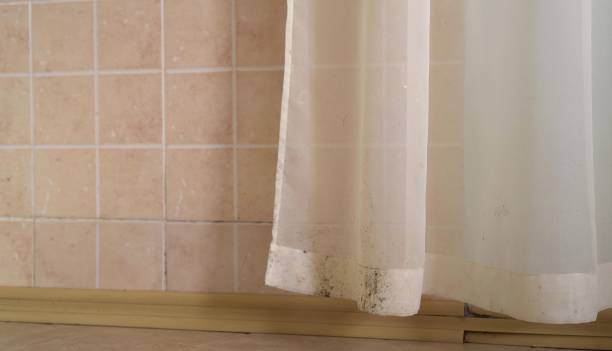 Best Attic Mold Removal  in North Caldwell, NJ
