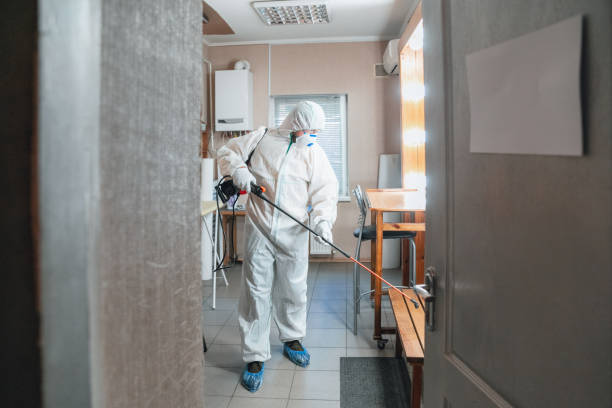  North Caldwell, NJ Mold Removal Pros