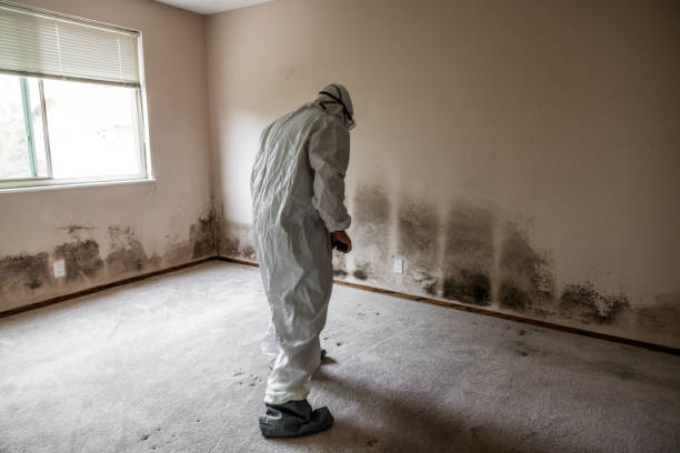 Best Airborne Mold Testing  in North Caldwell, NJ