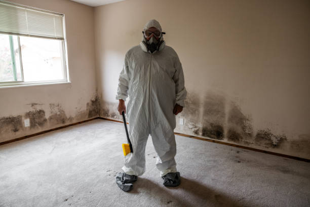 Best Commercial Mold Inspection  in North Caldwell, NJ