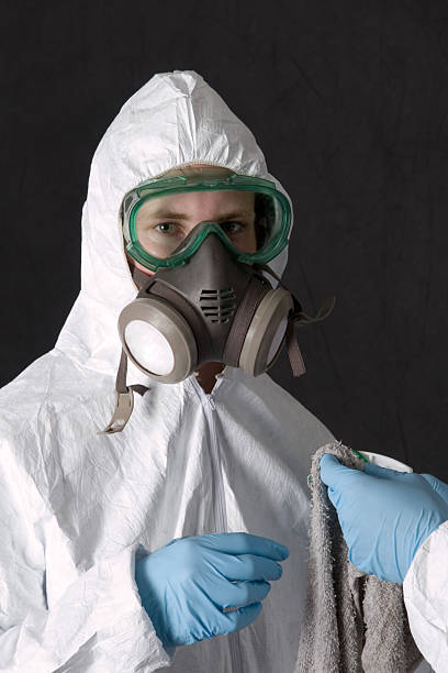 Reliable North Caldwell, NJ Mold Removal Solutions